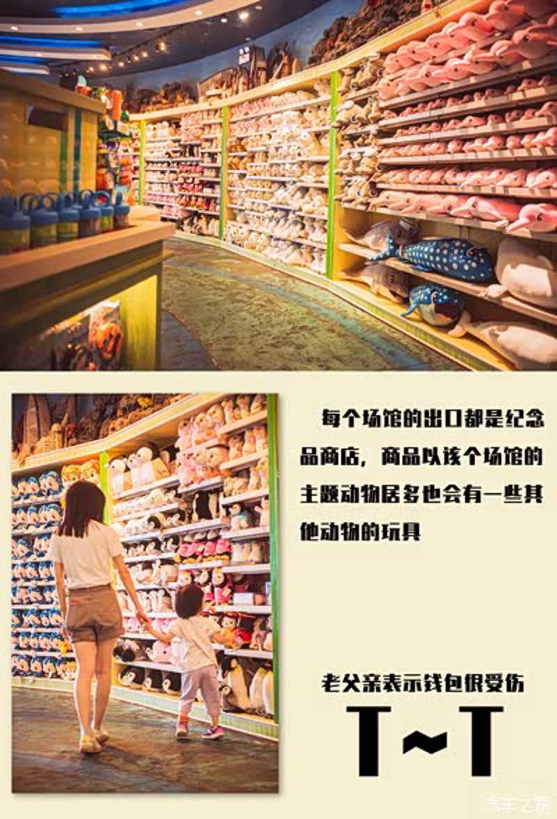 珠海贸易风华正茂：启夏贸易引领行业新趋势
